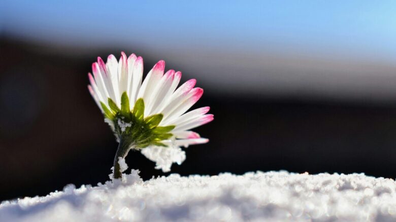 希望を見出しているイメージ